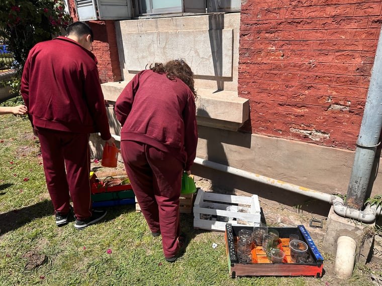 Proyecto Huerta